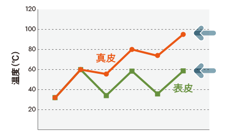 PulseDuration方式による表皮と真皮の温度変化